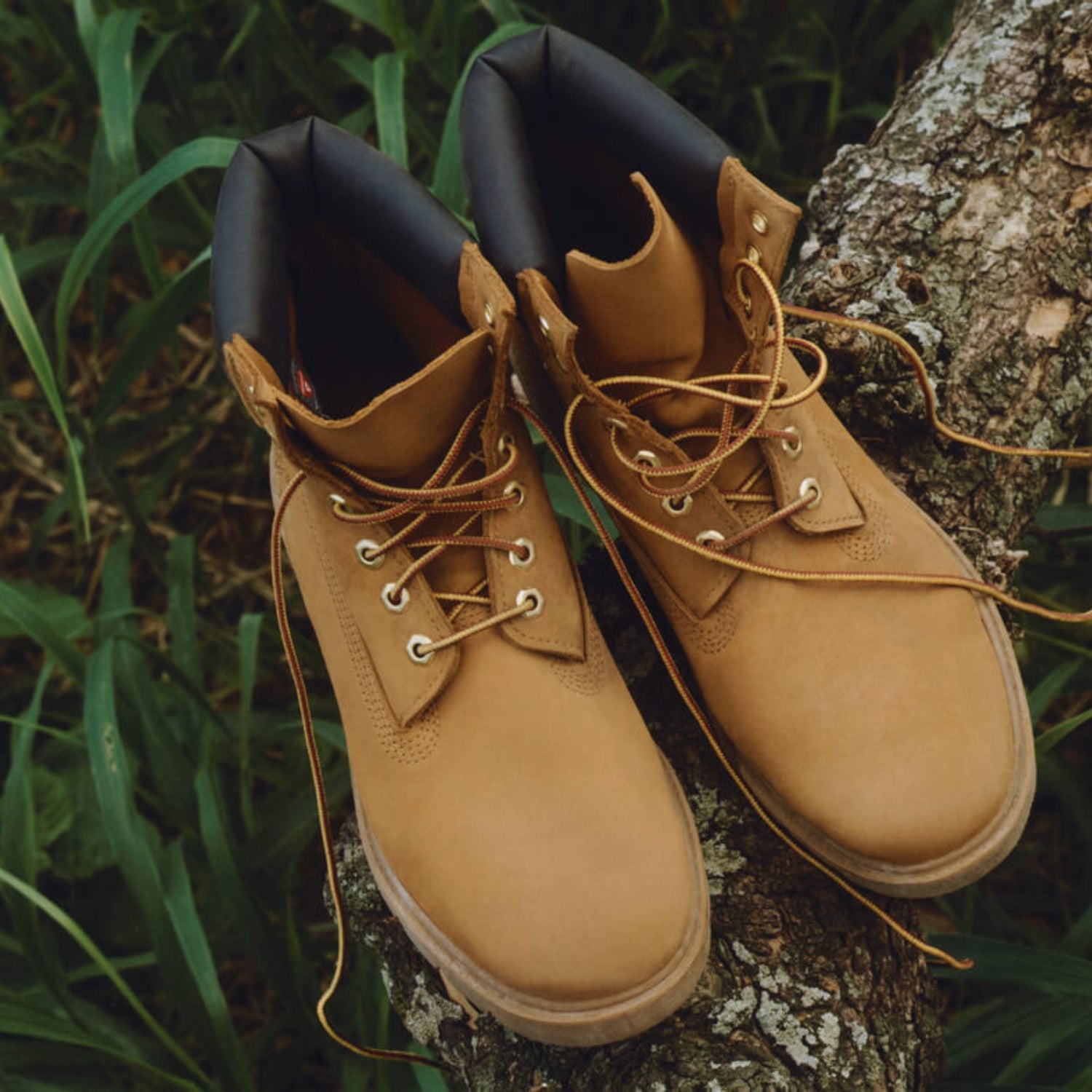 TIMBERLAND