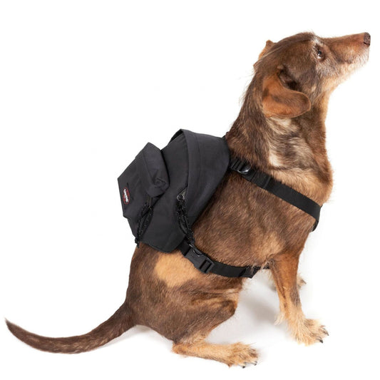 Zainetto per cani Eastpak Dog Pak'r NERO