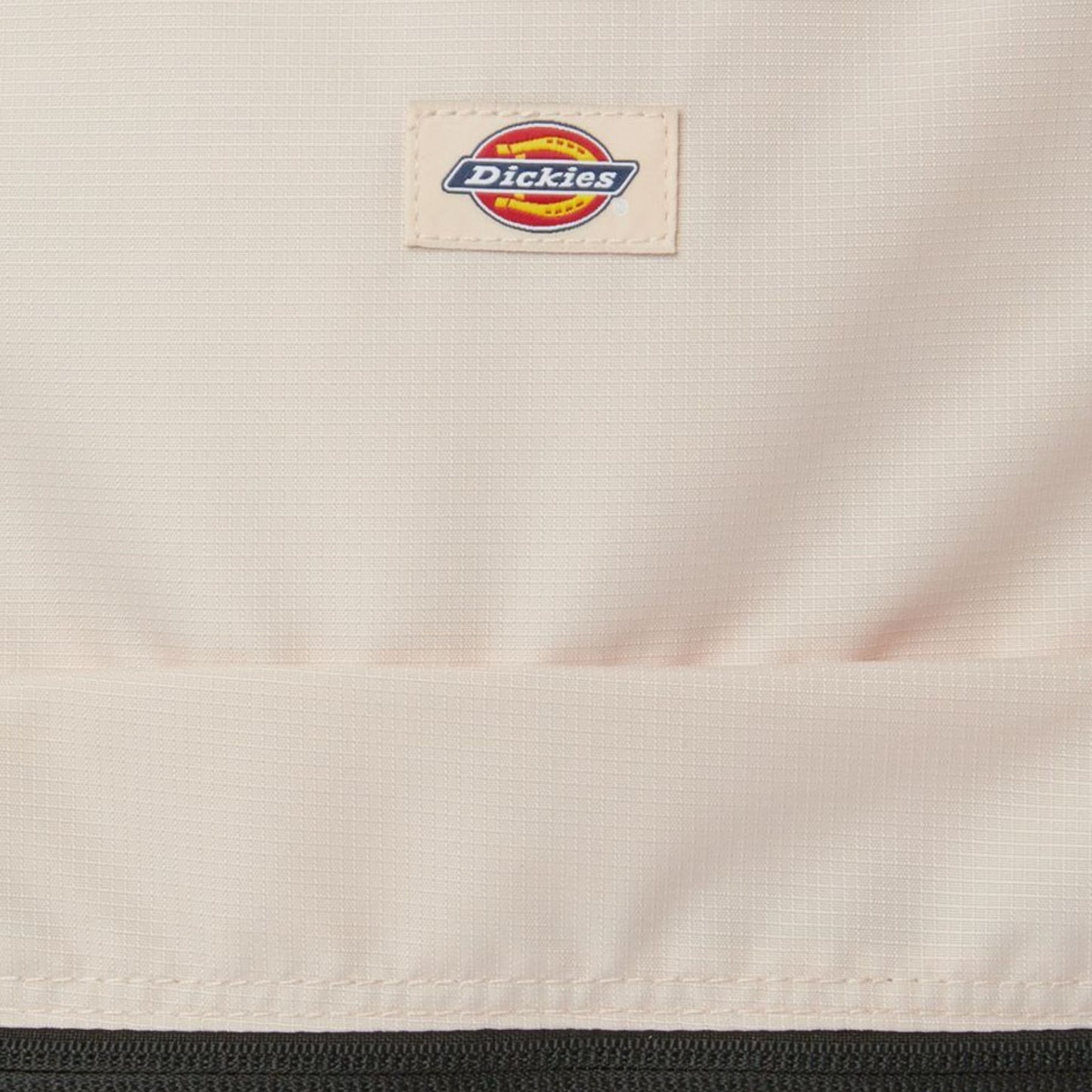 Dickies Chickaloon Backpack FISHING