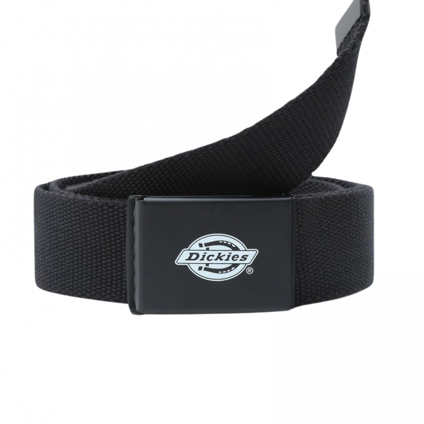 Dickies Orcutt Webbing Belt
