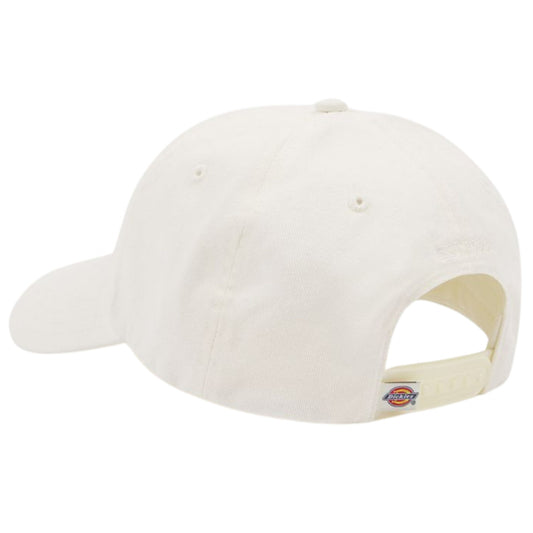Cappello Dickies Hardwick