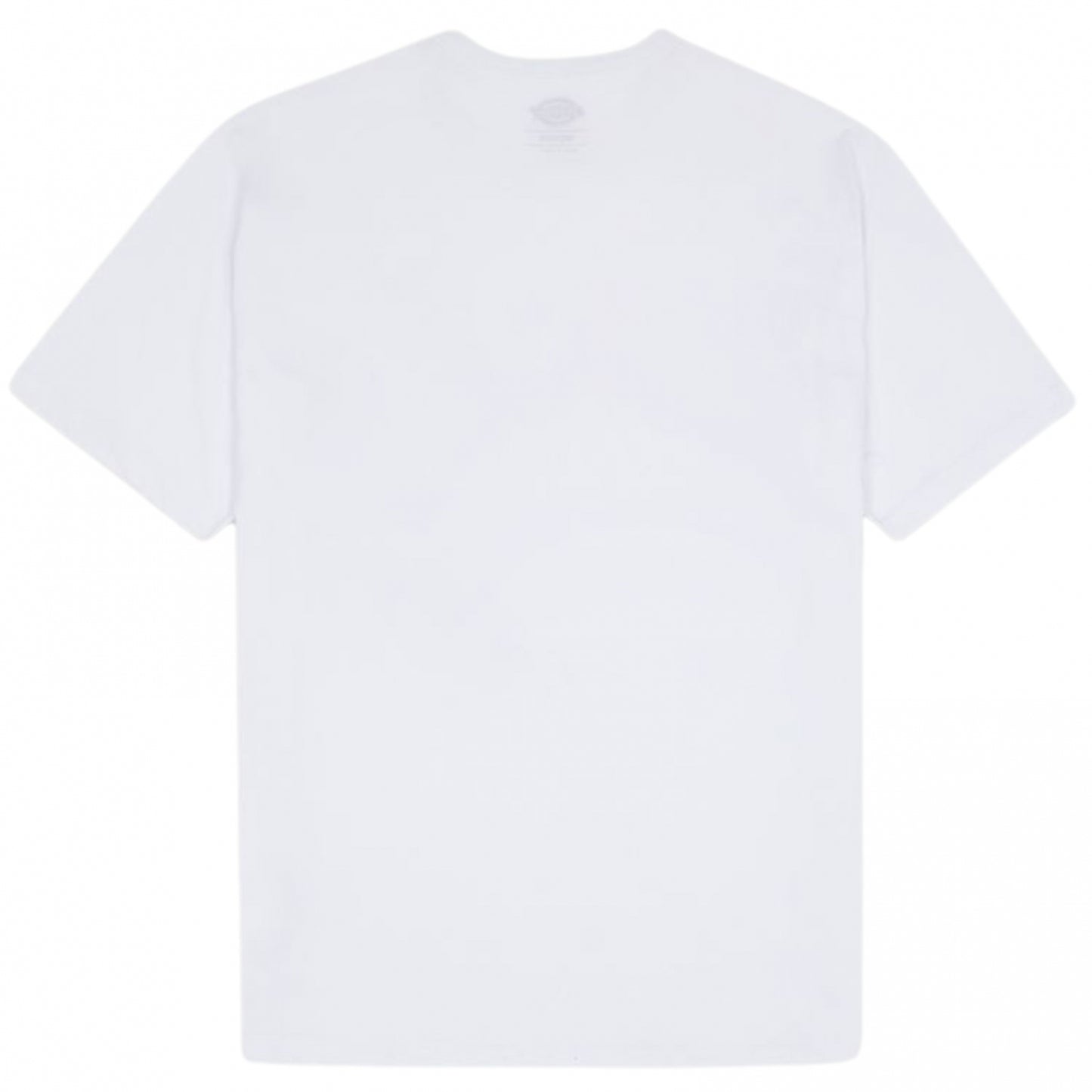 Maglietta Dickies Summerdale SS Tee BIANCO