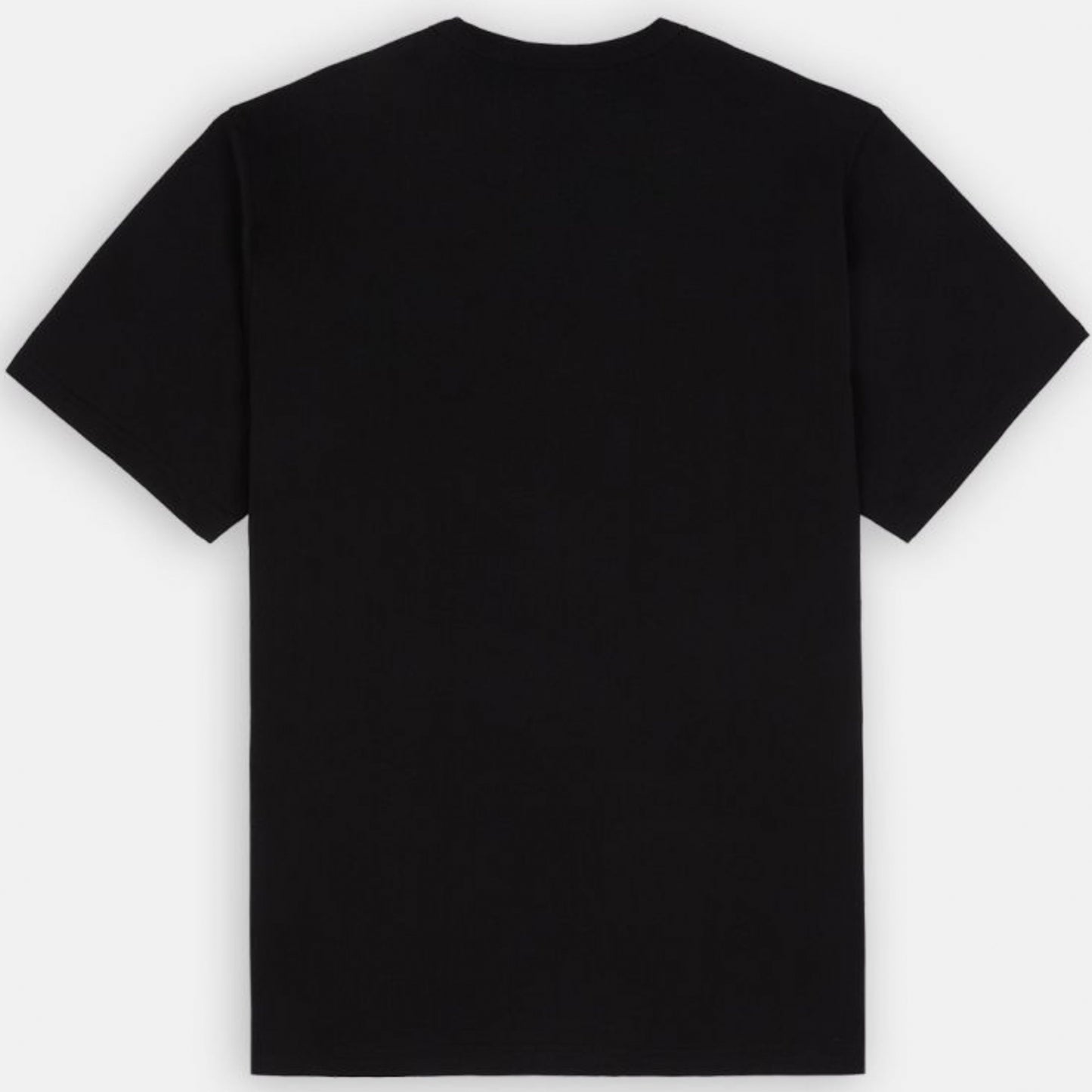 Maglietta Dickies Summerdale SS Tee NERO