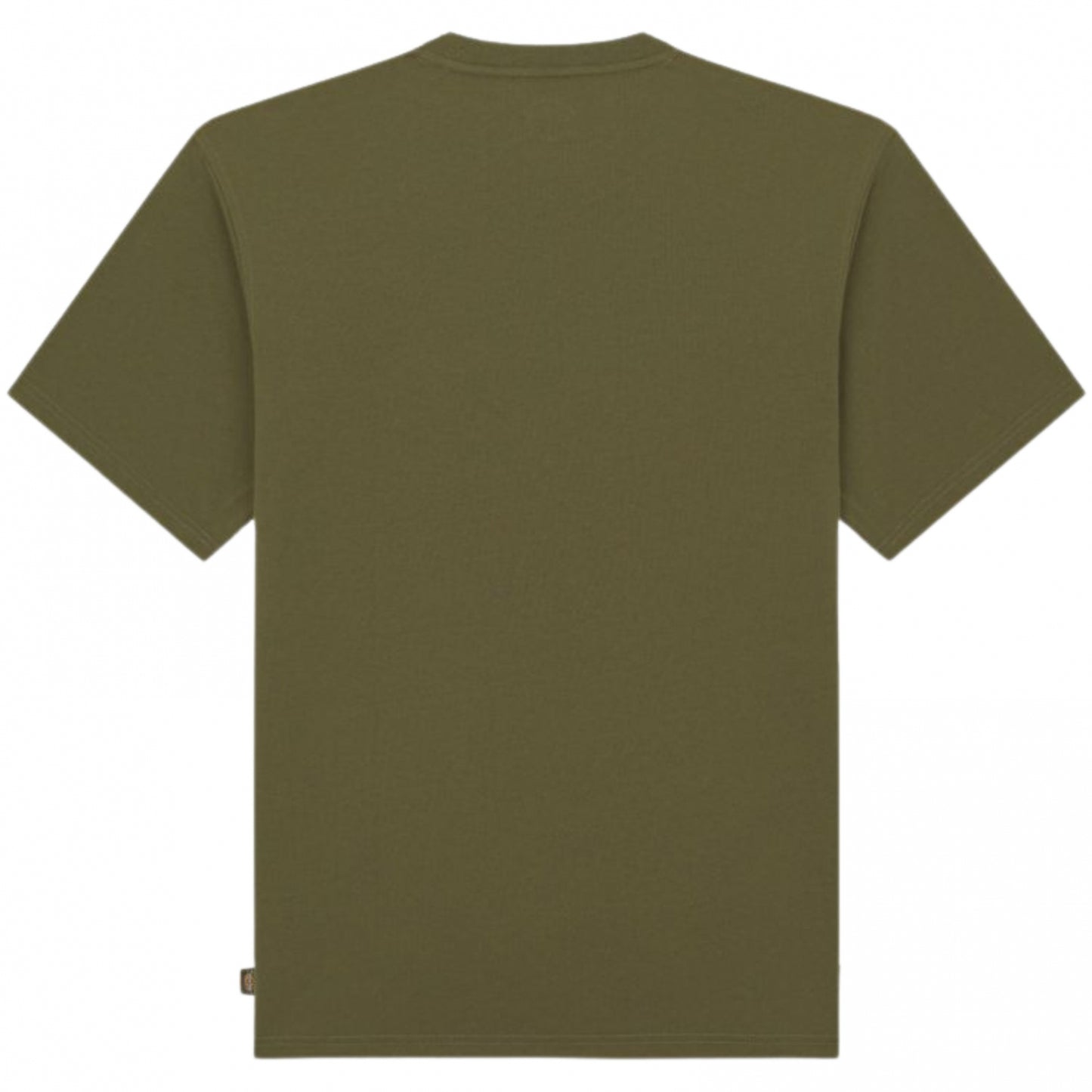 Maglietta Dickies Clancy Heavyweight SS Tee