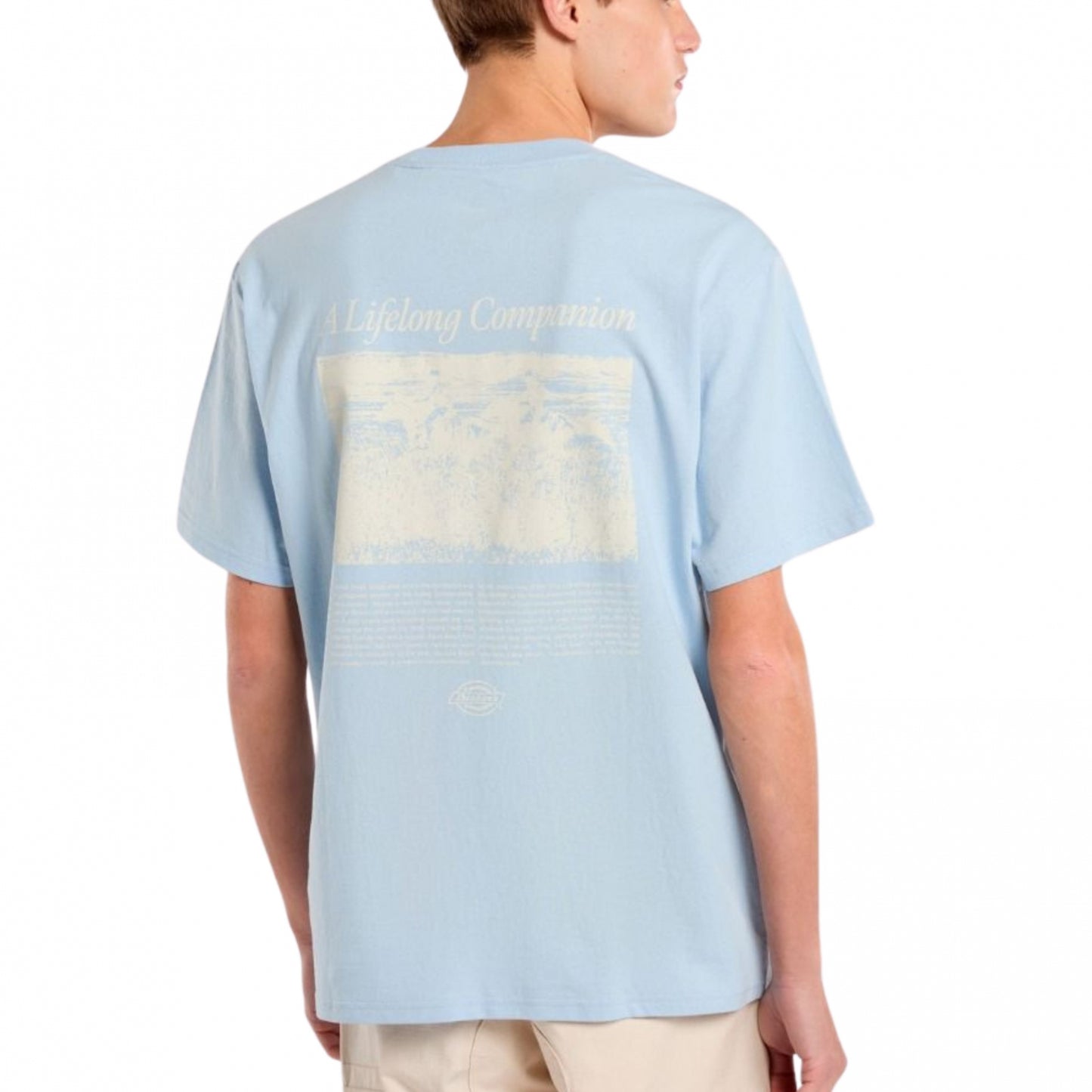 Maglietta Dickies Companion Script SS Tee
