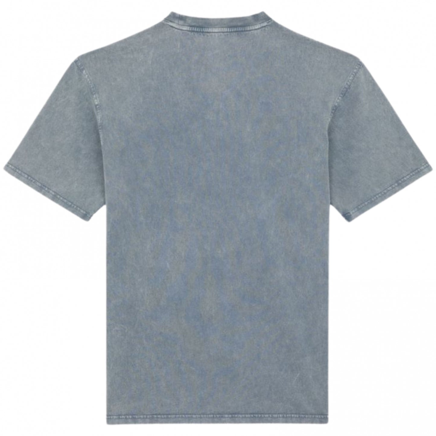 Maglietta Dickies Plentywood SS Tee