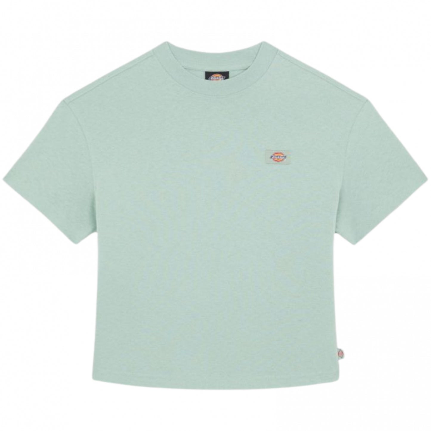 Maglietta Dickies Donna Oakport Boxy SS Tee