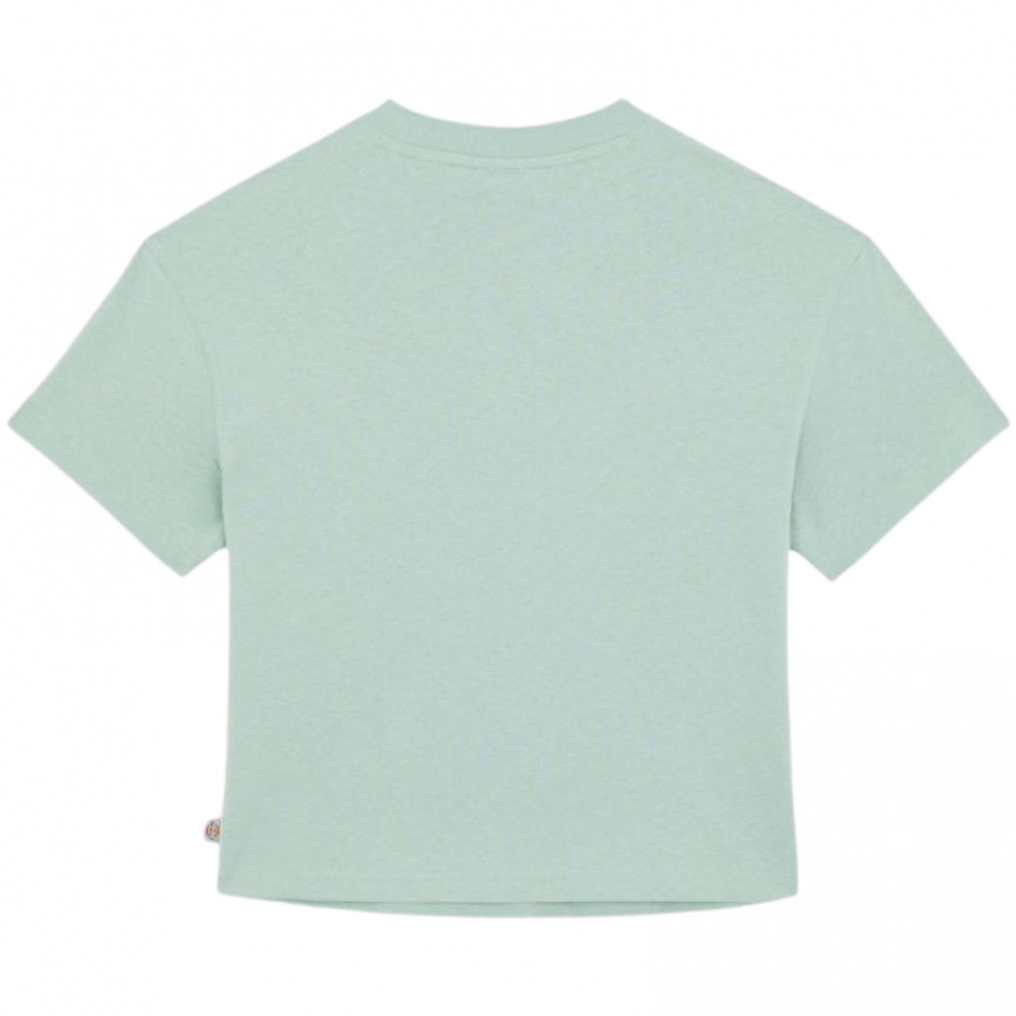 Maglietta Dickies Donna Oakport Boxy SS Tee