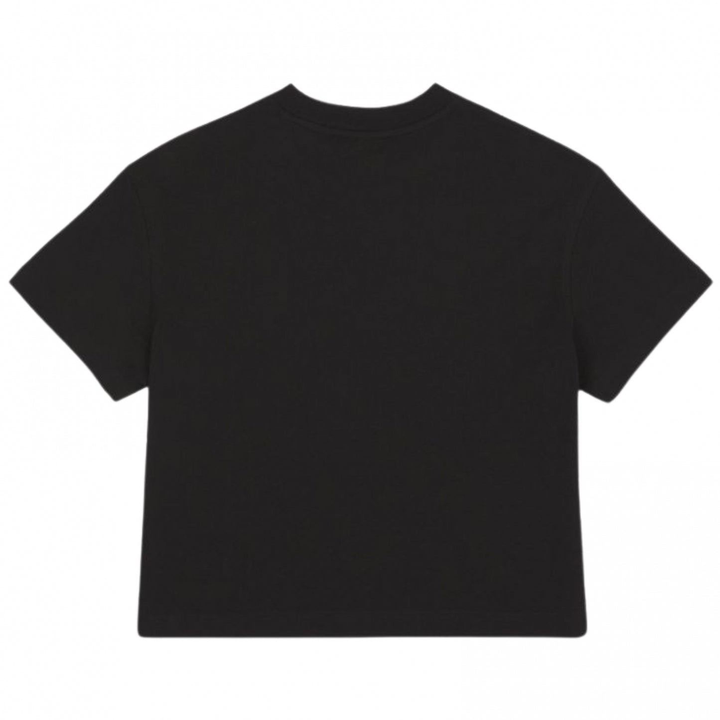 Maglietta Dickies Donna Oakport Boxy SS Tee