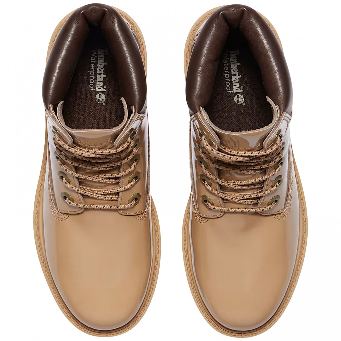 Stivale Timberland Premium 6 Inches Lace Waterproo BEIGE