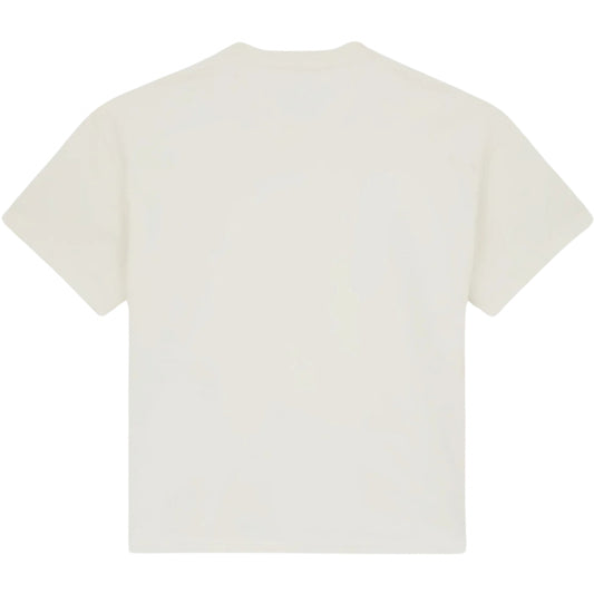 Maglietta Dickies Mineral Heavyweight SS Tee UNICO