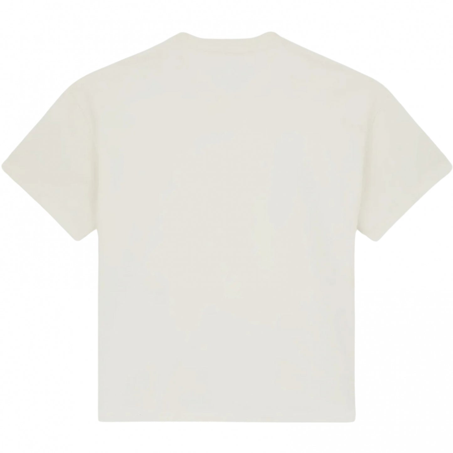 Maglietta Dickies Mineral Heavyweight SS Tee UNICO