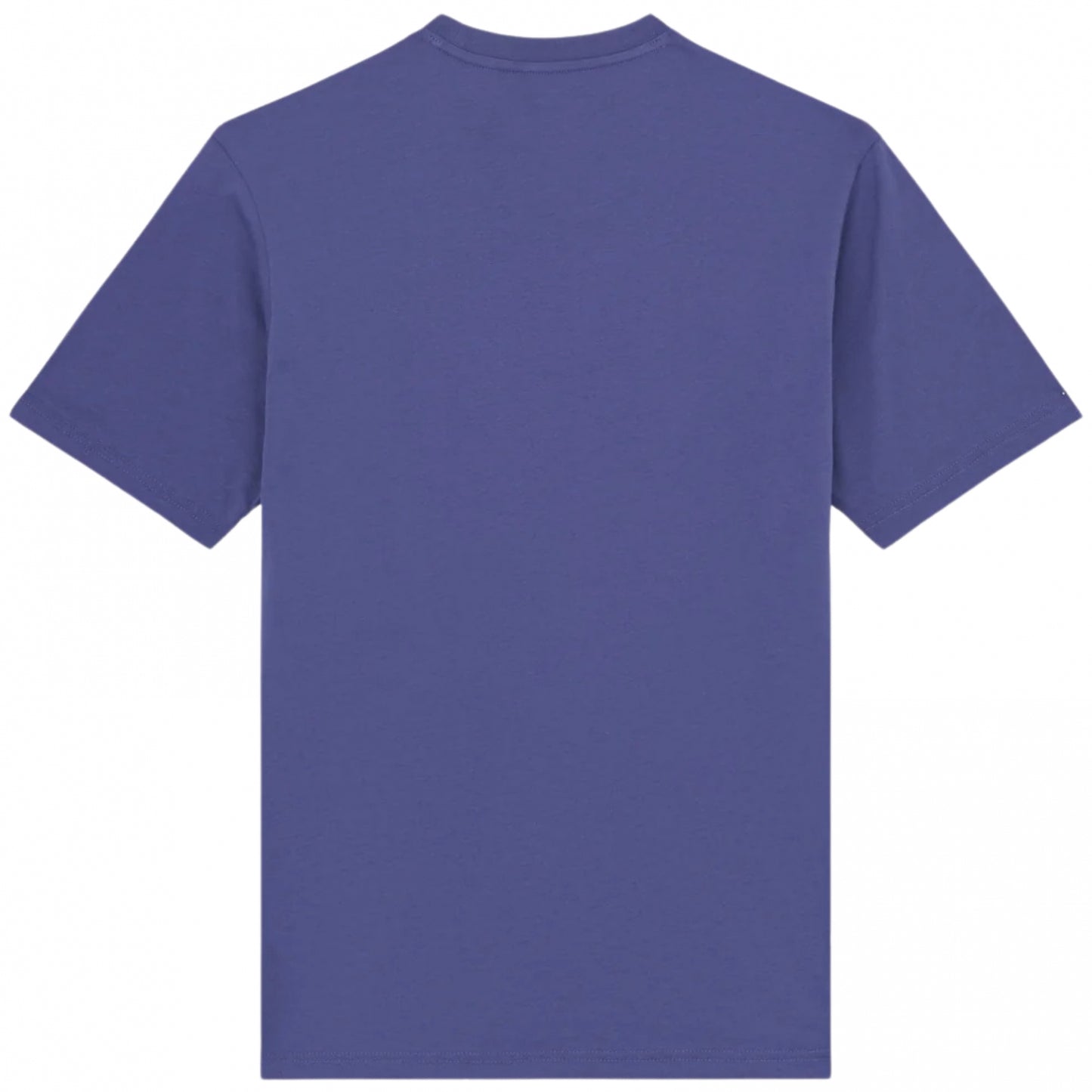 Maglietta Dickies Mapleton SS Tee BLU