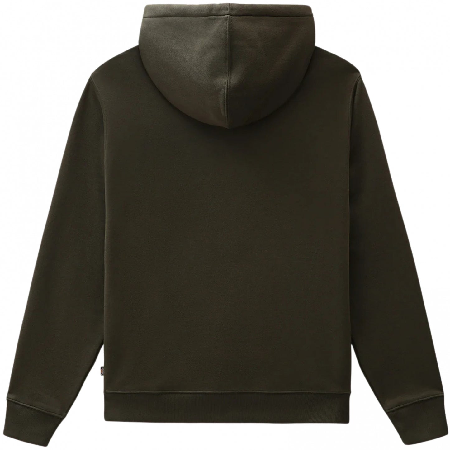 Felpa Dickies Oakport Hoodie VARIANTE 1