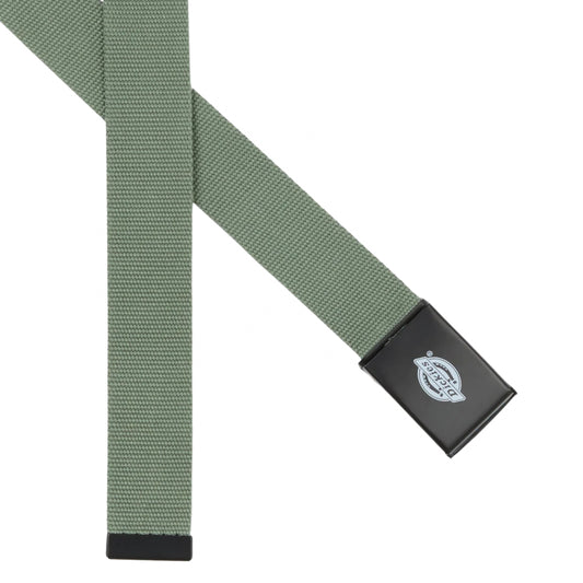 Cintura Dickies Orcutt AZZURRO