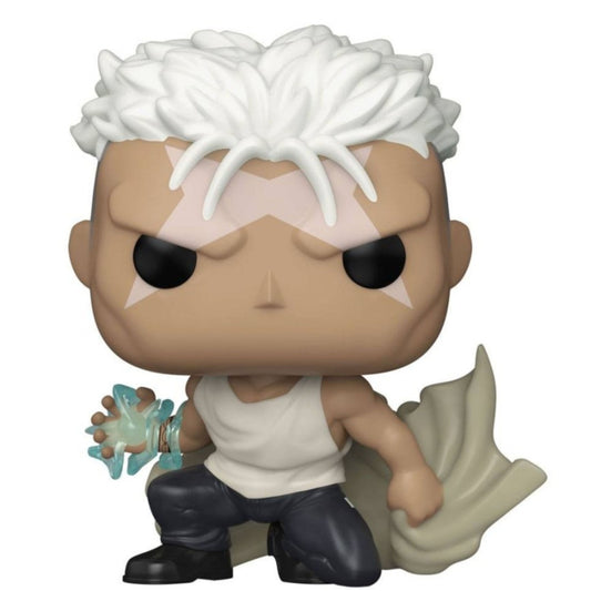 funko pop! Fullmetal Alchemist Scar 1179