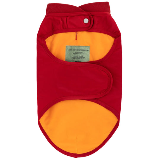 Pettorina ALpha MA-1 Dog Jacket Back Print