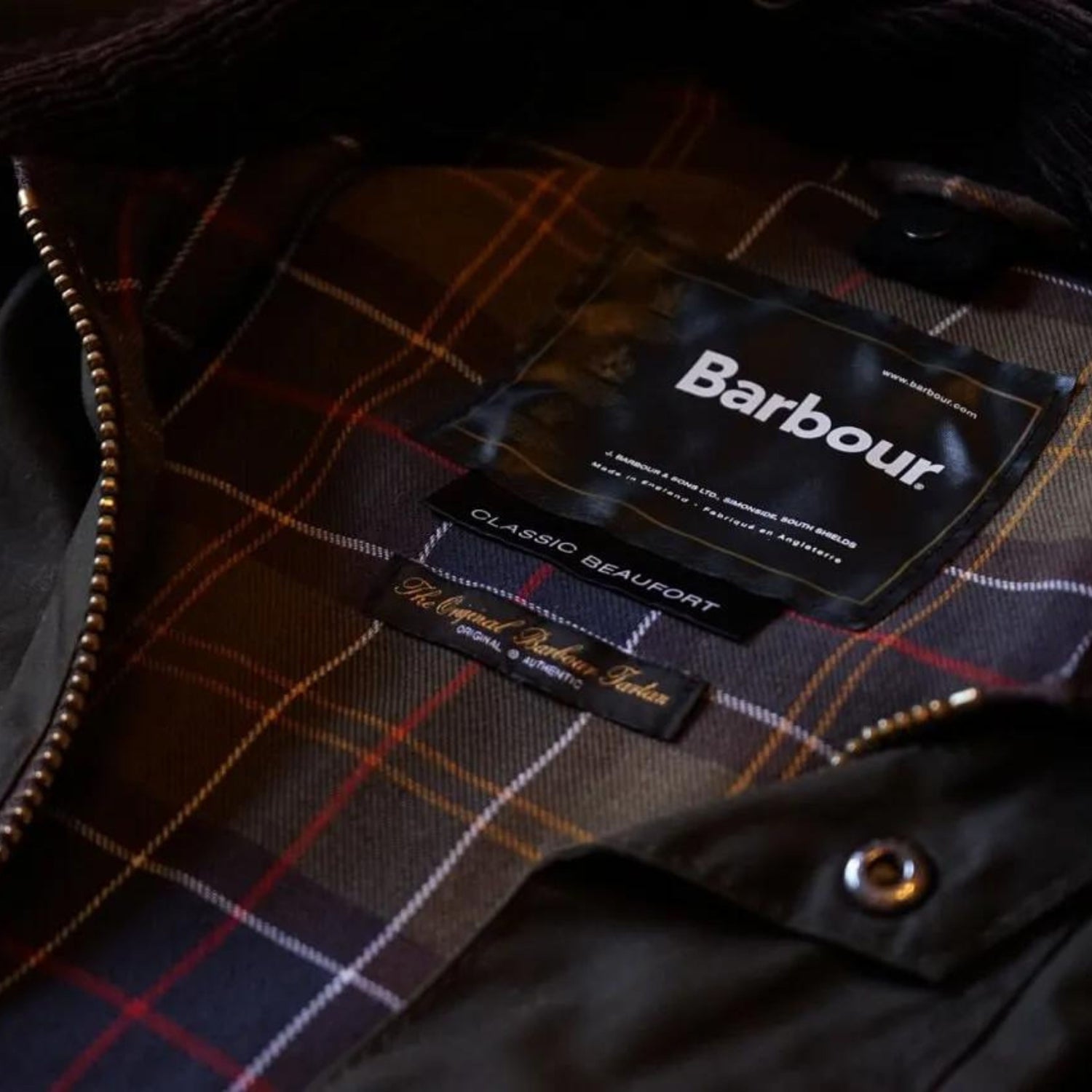 BARBOUR