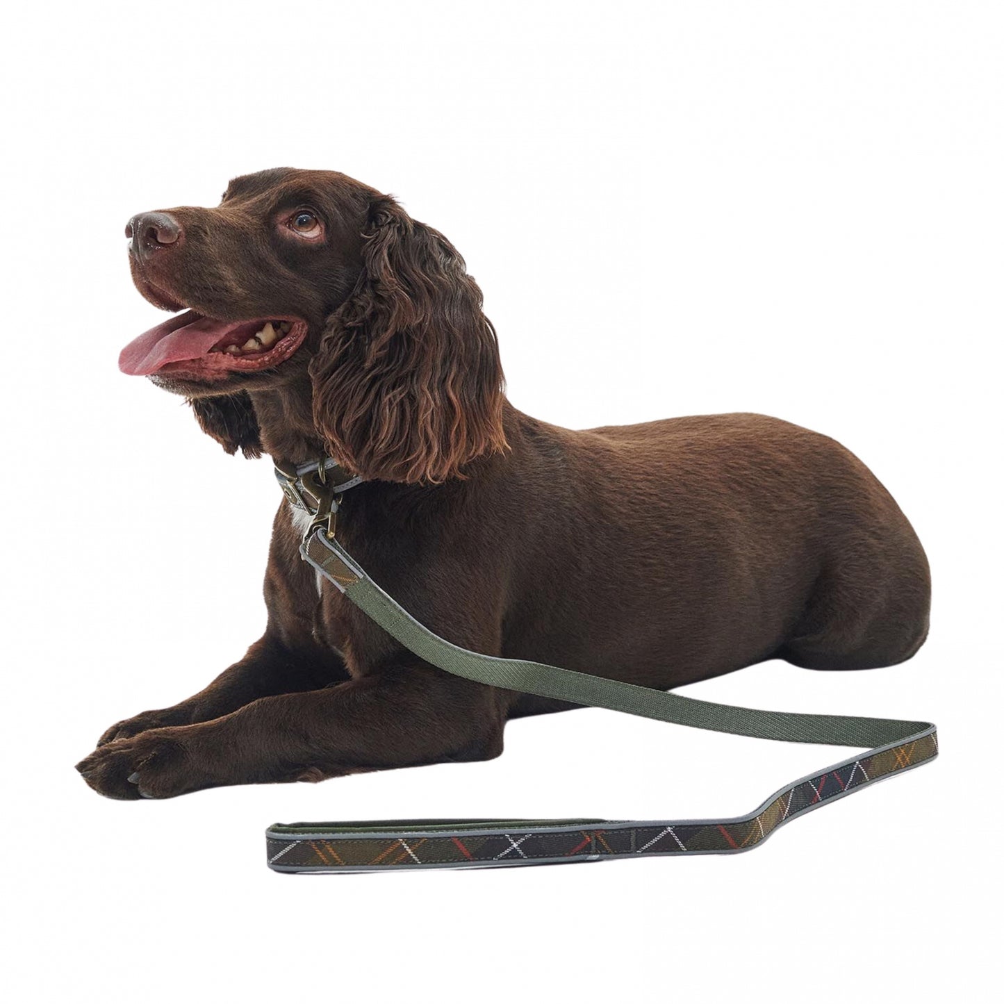 Barbour Reflective Tartan Comfort Lead Collar UNIQUE