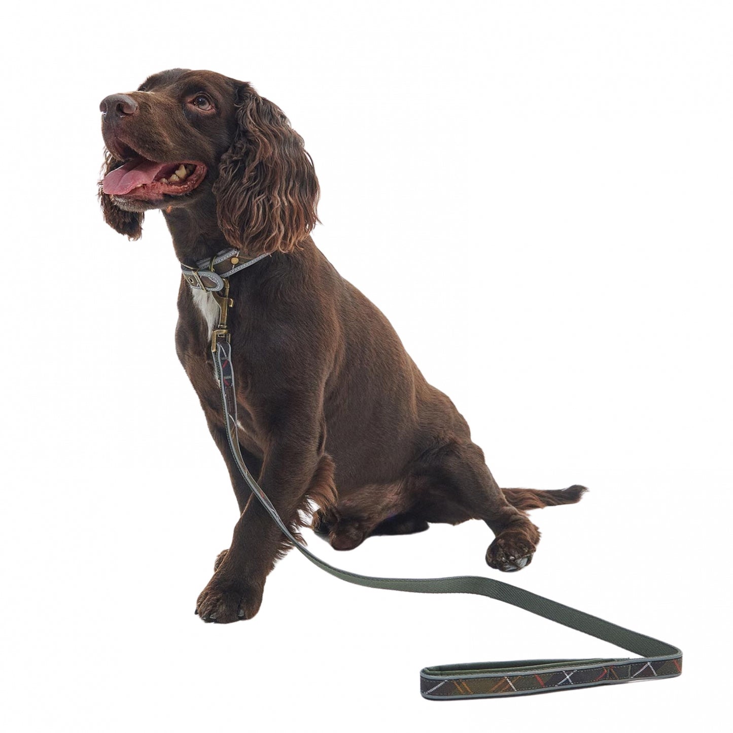 Barbour Reflective Tartan Comfort Lead Collar UNIQUE