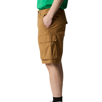 Pantaloncino TNF Anticline Short MARRONE