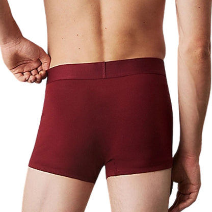 Boxer Calvin Klein Trunk