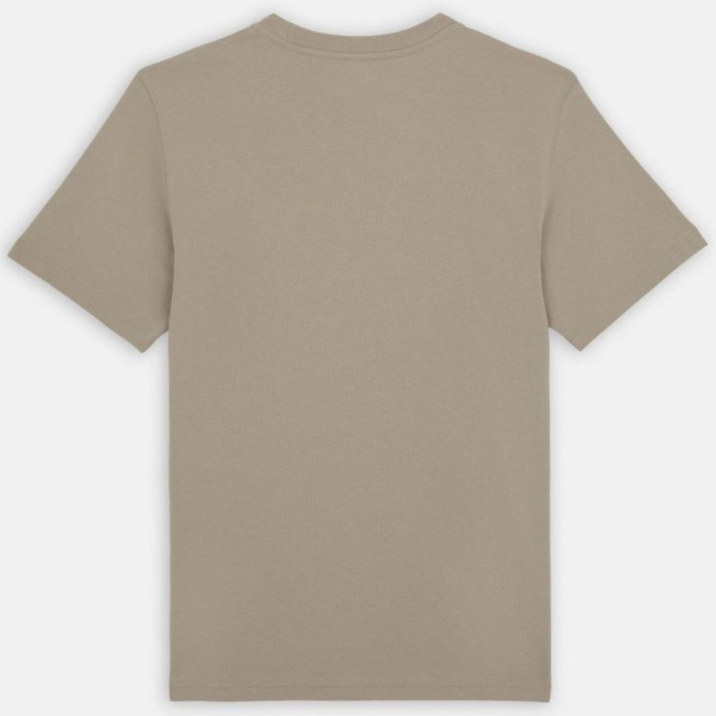 Maglietta Dickies Summerdale SS Tee SABBIA