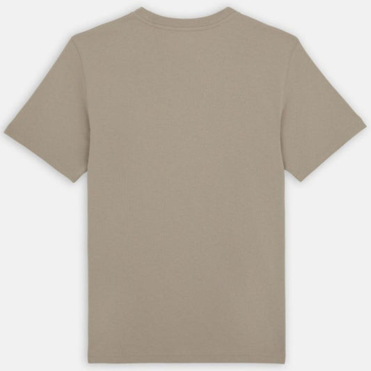 Maglietta Dickies Summerdale SS Tee SABBIA