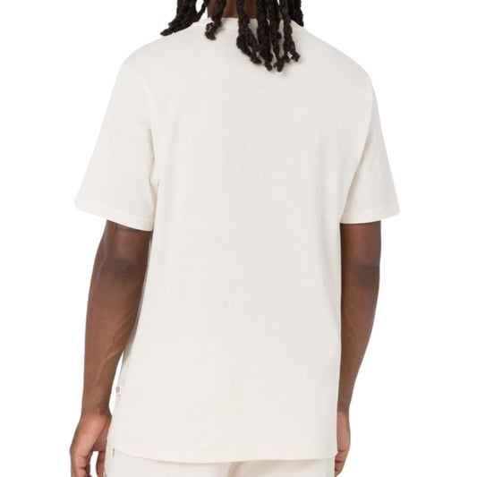 Maglietta Dickies Mapleton SS Tee