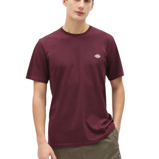 Maglietta Dickies Mapleton SS Tee