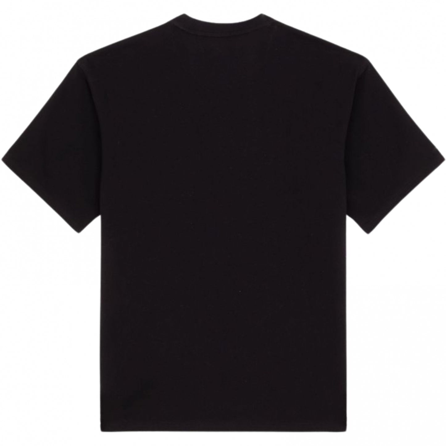 Maglietta Dickies Clancy Heavyweight SS Tee