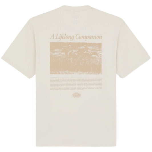 Maglietta Dickies Companion Script SS Tee
