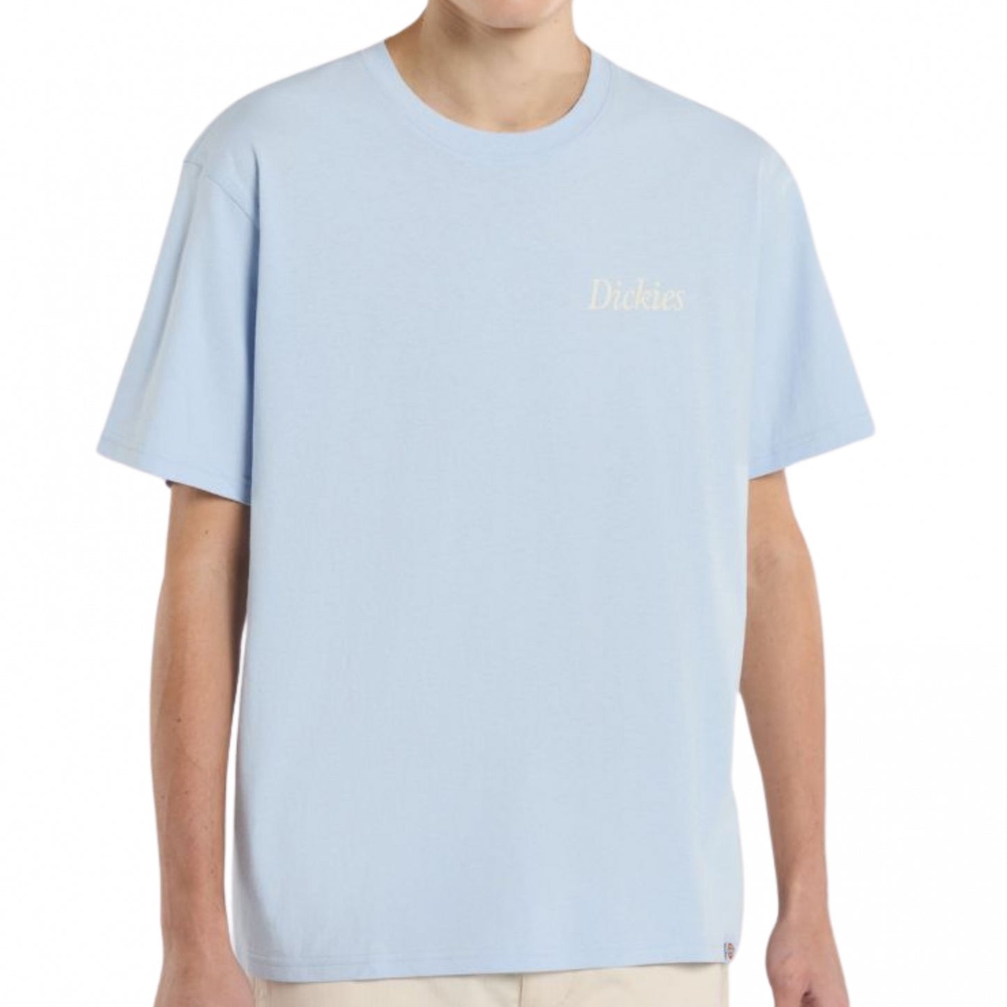 Maglietta Dickies Companion Script SS Tee