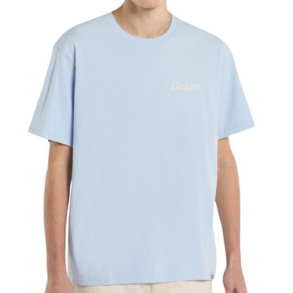 Maglietta Dickies Companion Script SS Tee