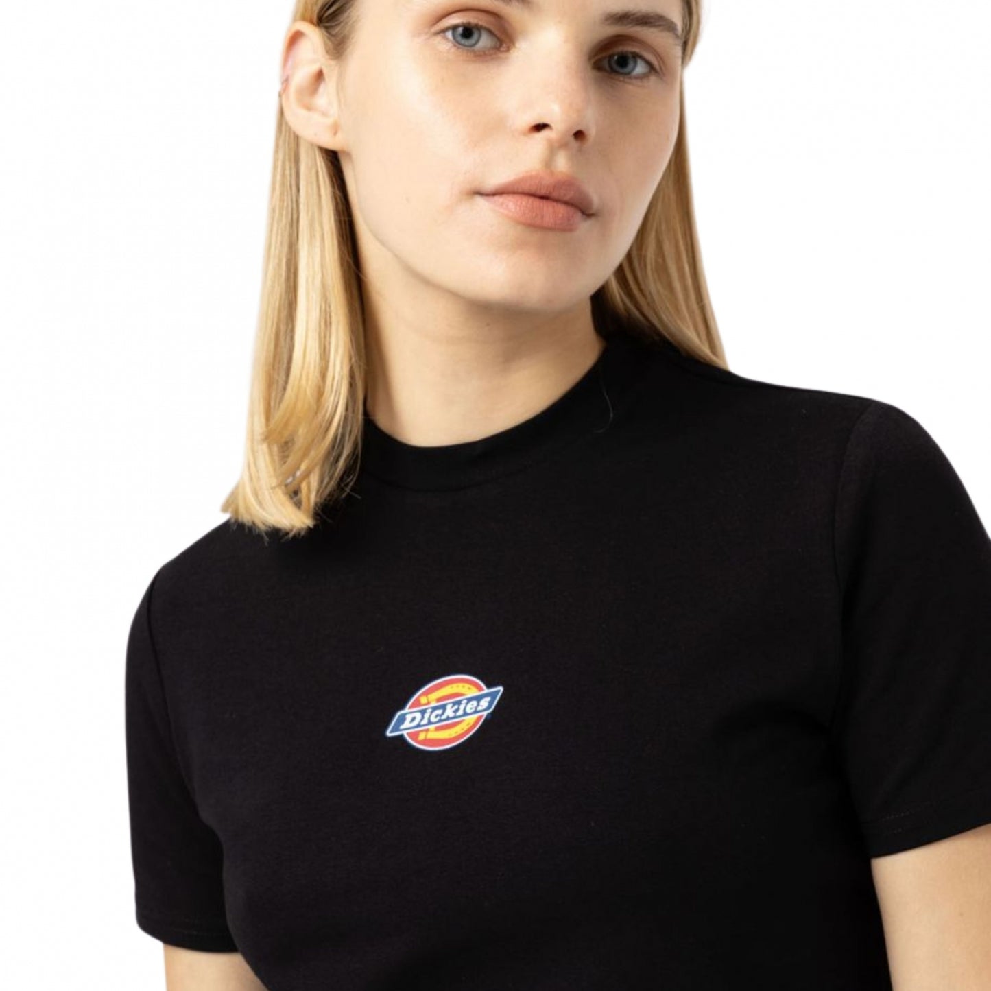 Maglietta Dickies Maple Valley SS Tee