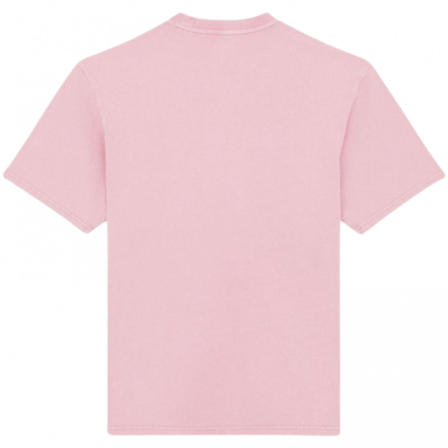 Maglietta Dickies Plentywood SS Tee