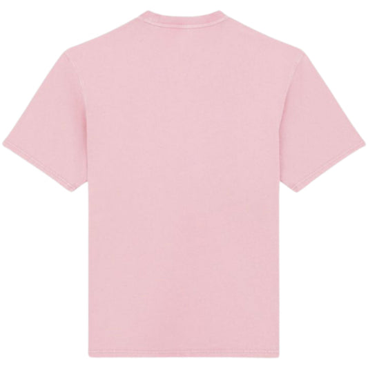 Maglietta Dickies Plentywood SS Tee