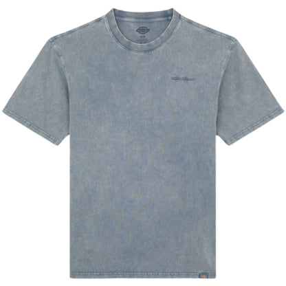 Maglietta Dickies Plentywood SS Tee