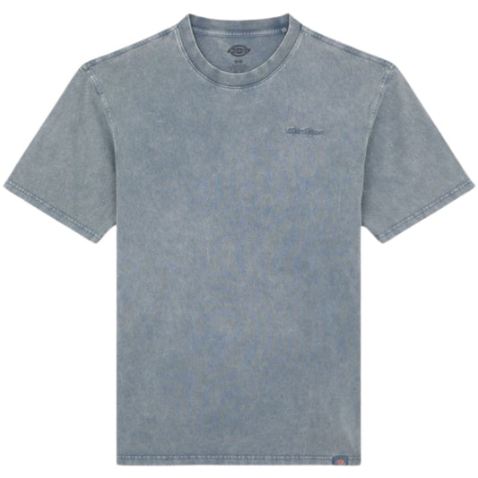 Maglietta Dickies Plentywood SS Tee