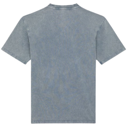 Maglietta Dickies Plentywood SS Tee