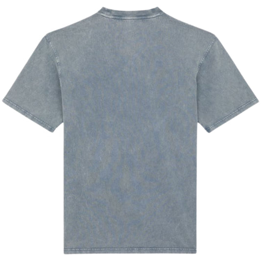 Maglietta Dickies Plentywood SS Tee