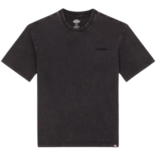 Maglietta Dickies Plentywood SS Tee