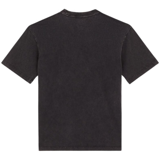 Maglietta Dickies Plentywood SS Tee