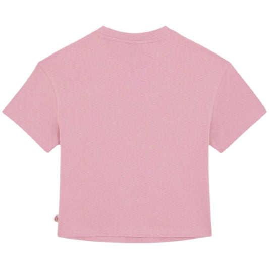 Maglietta Dickies Donna Oakport Boxy SS Tee