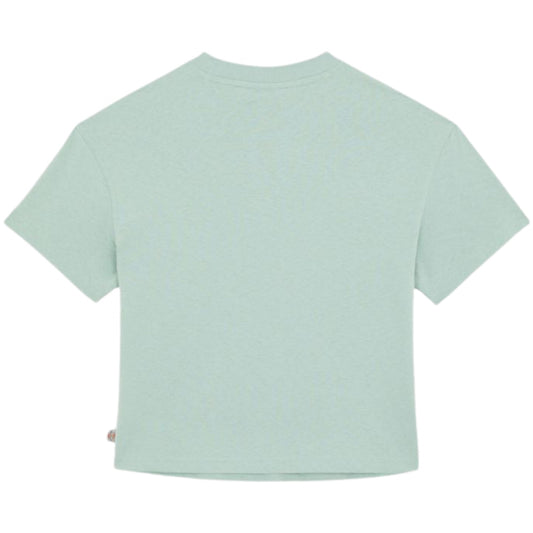 Maglietta Dickies Donna Oakport Boxy SS Tee