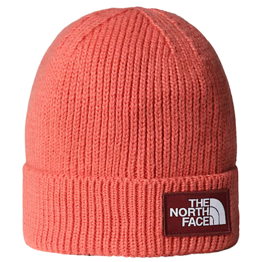 Cappello TNF Logo Box Cuffed Beanie VARIANTE 2