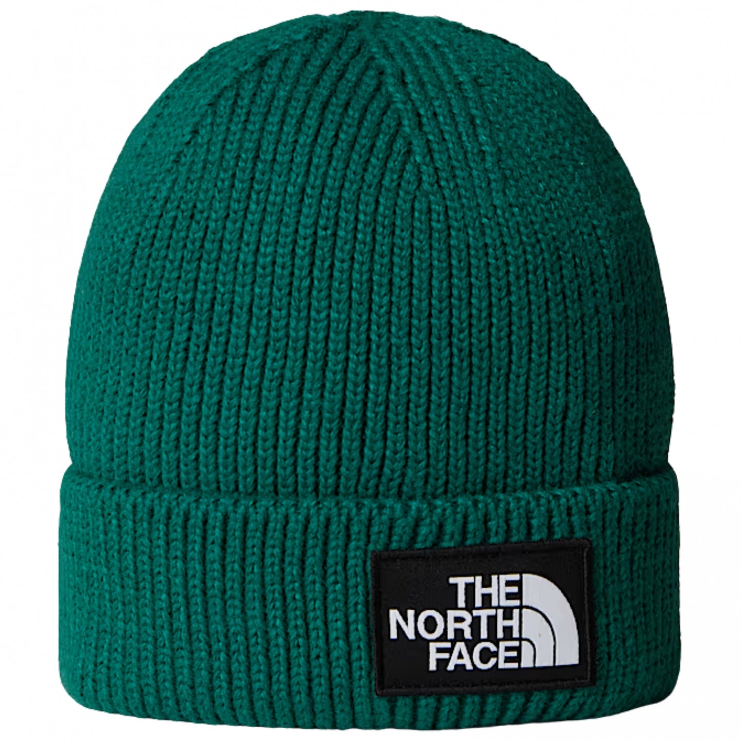 Cappello TNF Logo Box Cuffed Beanie VERDE