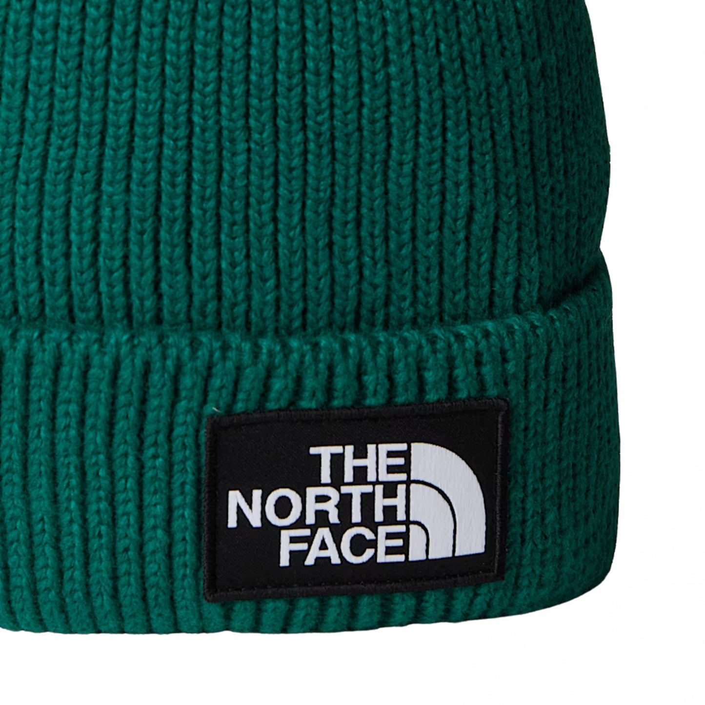 Cappello TNF Logo Box Cuffed Beanie VERDE