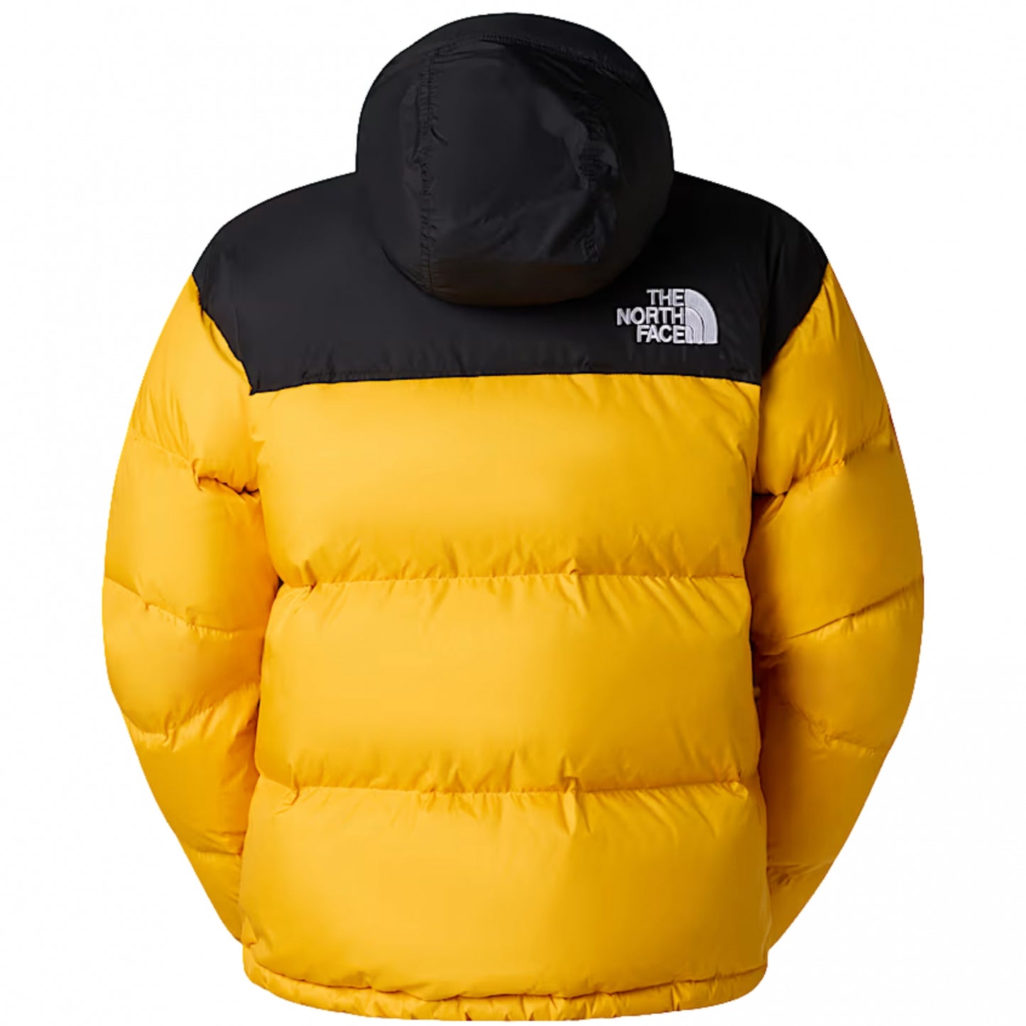 Giubbino TNF 96Retro Nuptse Jacket ORO