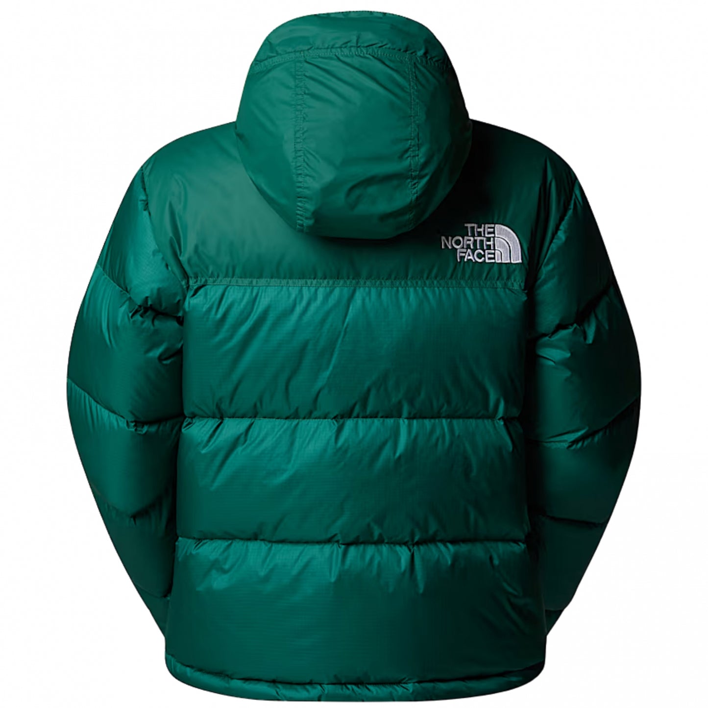 Giubbino TNF 96 Retro Nuptse Jacket VERDE